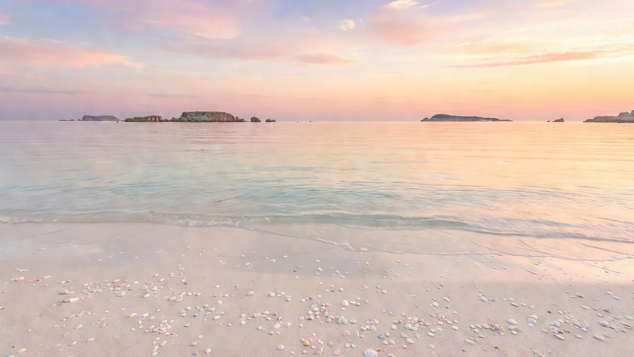 Dawn Shells